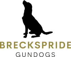 Breckspride Gundogs Logo